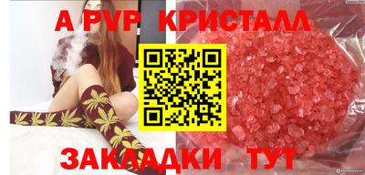 дурь Сланцы
