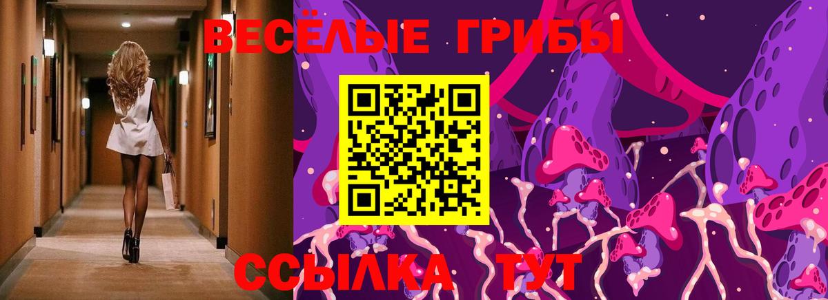 Псилоцибиновые грибы мицелий Псков